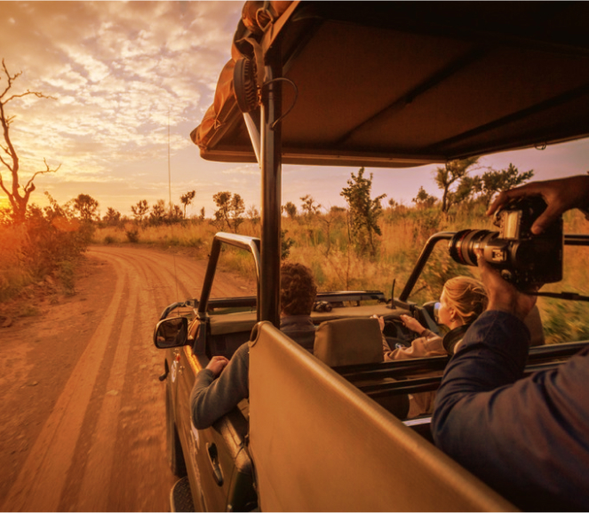 Safari Tour